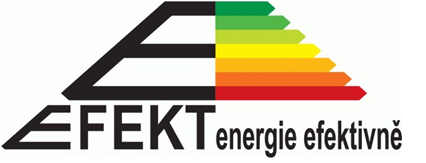 logo EFEKT.jpg